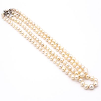  Collier de deux rangs de perles de culture disposées en chute. Diamètre des perles...