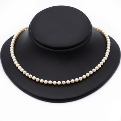  Collier un rang de perles de culture de même diamètre. Fermoir en or jaune (750)...