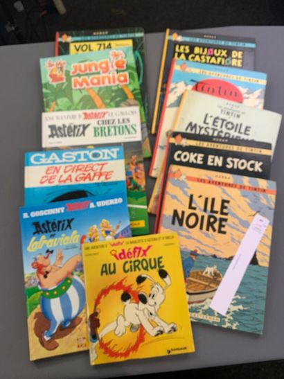 null Bandes-dessinées. 11 albums divers, dont : Tintin, Gaston Lagaffe, Astérix,...