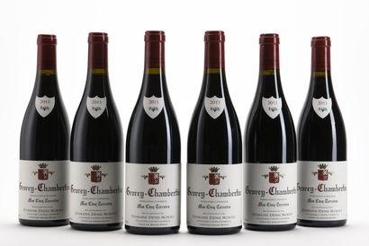 null 6 B GEVREY-CHAMBERTIN MES CINQ TERROIRS Domaine Denis Mortet 2013