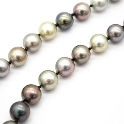 null Collier un rang de perles grises disposées en chute (couleurs différentes)....
