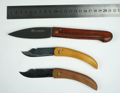 null Un lot de 3 couteaux, manche plein bois, sans blocage de lame : 



Deux petits...