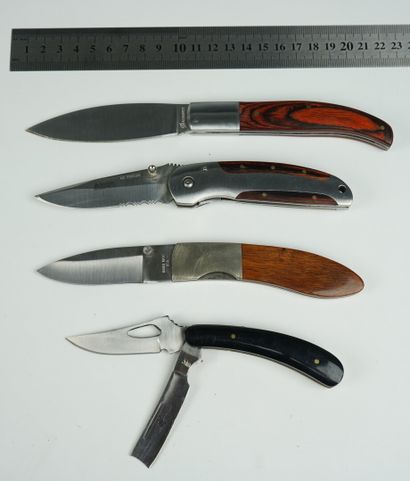 null Un lot de 4 couteaux pliants : 



Un couteau Outdoorlife, liner lock, ergot...