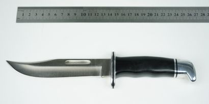 null Un couteau de chasse BUCK 119. 



26,5 cm au total, 15 cm de lame. Très jolies...