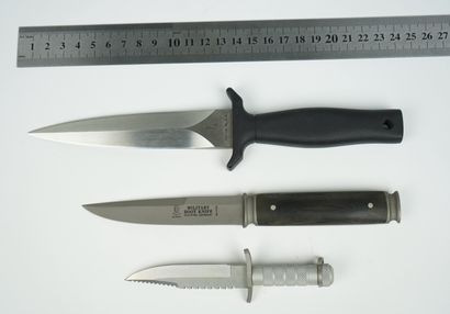 Un lot de trois couteaux droits : 
 
Un couteau...