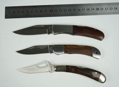 null Un lot de 3 couteaux à pompe, manche en bois : 



Un couteau Chambriard, lame...