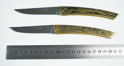null Un lot de deux couteaux : 



Deux modèles de couteaux THIERS, faits par la...