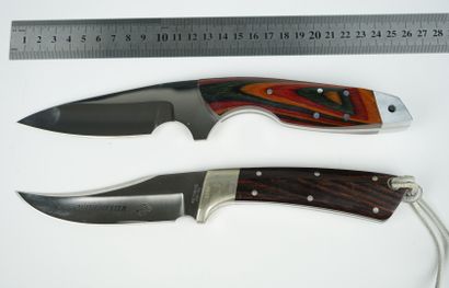 null Un lot de deux couteaux de chasse



Un couteau Winchester, modèle Comanche,...