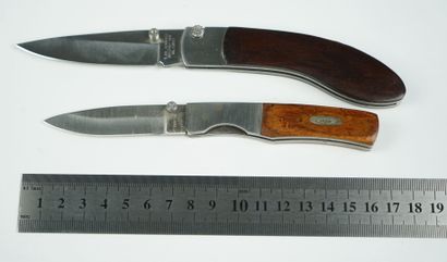 null Un lot de 2 couteaux : 



Un couteau de marque CASE, liner lock, ergot de pouce,...