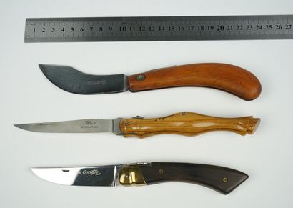 null Trois couteaux artisanaux de régions : 



Un couteau à plein manche en bois,...