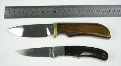 null Un lot de deux couteaux droits



Un couteau de marque Smith & Wesson, numéroté...