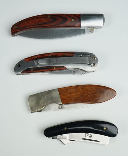 null Un lot de 4 couteaux pliants : 



Un couteau Outdoorlife, liner lock, ergot...