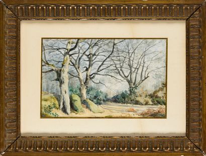 null Albert CARON

Paysage de la Gorge aux loups Forêt de Fontainebleau

Aquarelle...