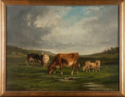 A CORTAIX 
Vaches au pré 
Huile sur toile...