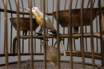 null Cage à oiseaux formant suspension

Travail moderne

H : 60 - Diam : 28 cm