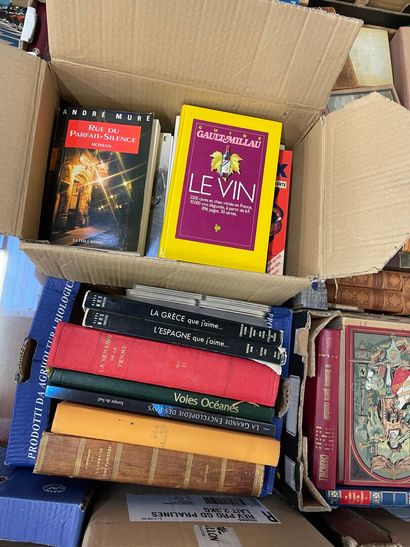 null Lot de 13 cartons de livres dont livres anciens reliés, brochés et livres m...