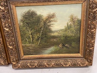  ROLLET 
Paire de paysages 
huiles sur toile 
44 x 52 cm
