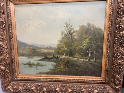 null ROLLET 

Paire de paysages

huiles sur toile

44 x 52 cm