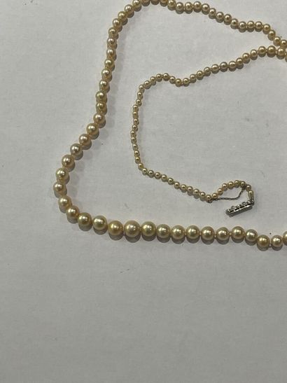 null Collier de perles en chute monture en or blanc

Longueur : 80 cm