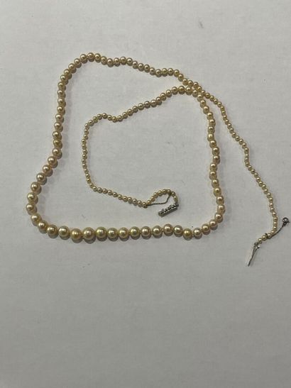 null Collier de perles en chute monture en or blanc

Longueur : 80 cm