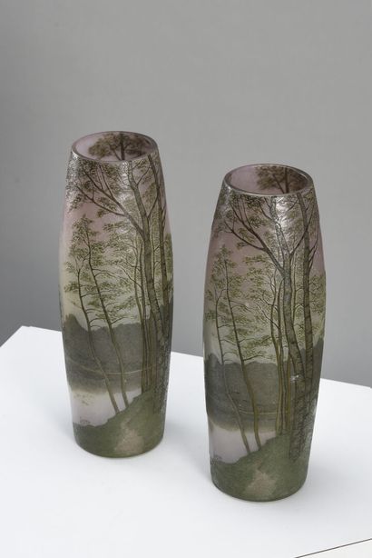 null François Théodore LEGRAS (1839-1960) 



Pair of large vases of oblong form...