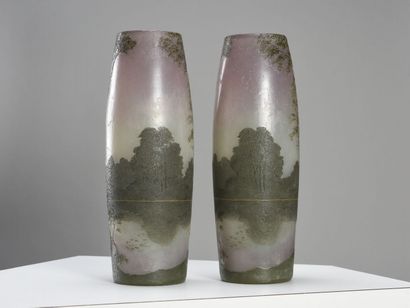 null François Théodore LEGRAS (1839-1960) 



Paire de grands vases de forme oblongue...