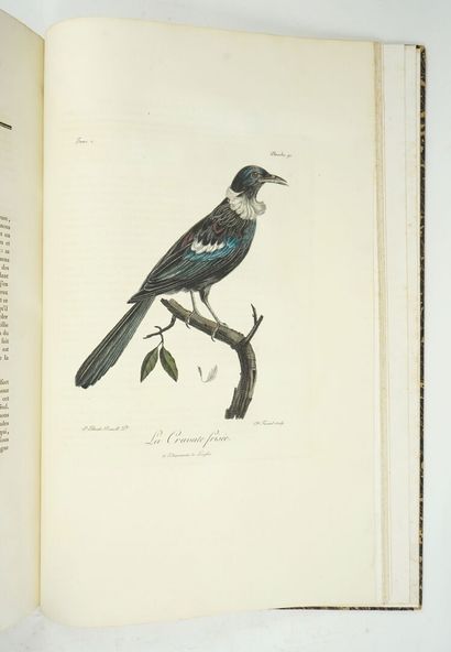 null LEVAILLANT (François) : Histoire naturelle des oiseaux d'Afrique. Paris, Delachaussée,...