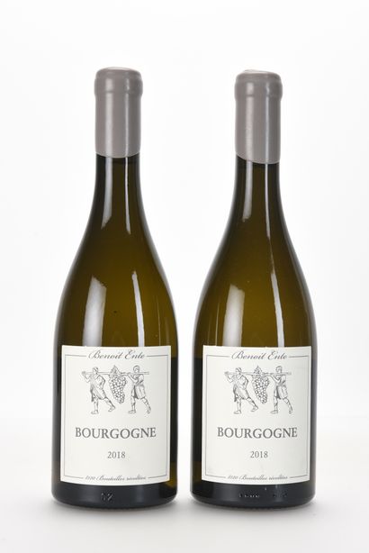 null 2 B BOURGOGNE Blanc Domaine Benoit Ente 2018