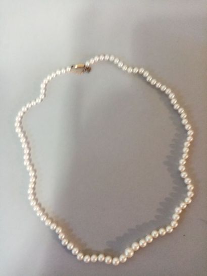 null Necklace of pearls in fall

Weight : 14, 44 gr