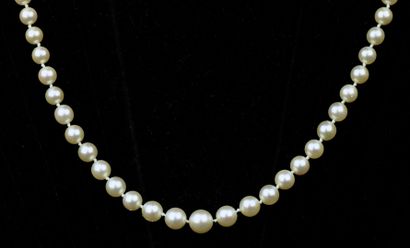 null Necklace composed of a row of cultured pearls arranged in fall. Clasp and safety...