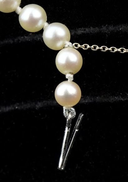 null Necklace composed of a row of cultured pearls arranged in fall. Clasp and safety...