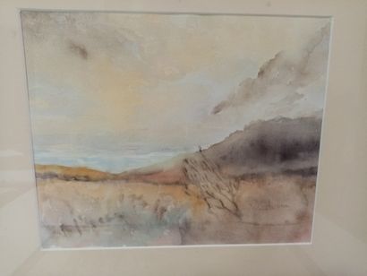 null Bourgain-Wade 

Paysages 

Deux aquarelles sur papier 

18 x 38 cm et 25,5 x...