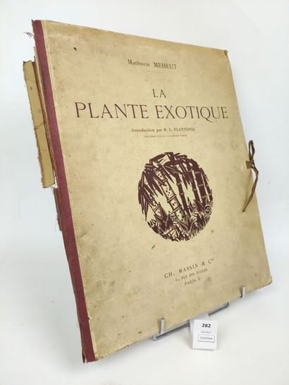 MEHEUT Mathurin. La Plante exotique. In folio...