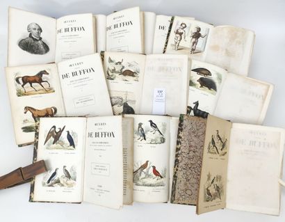 null BUFFON. OEuvres Complètes. 10 volumes in-8, demi-reliures cuir. Nombreuses gravures...
