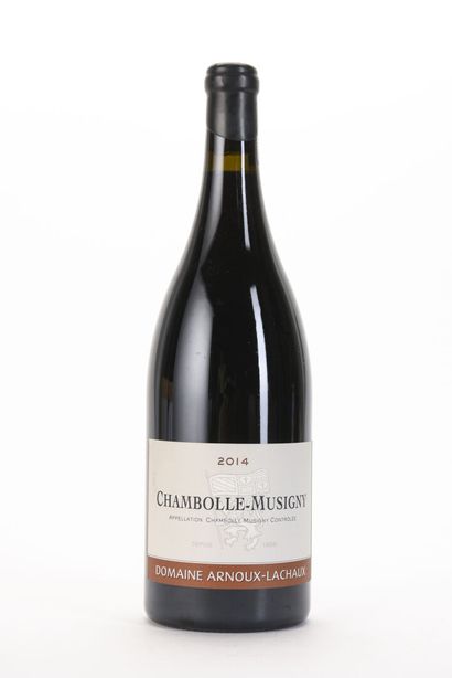 1 Mag CHAMBOLLE-MUSIGNY (e.l.s.) Domaine...