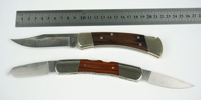 null Deux couteaux pliants BUCK : 



Un couteau BUCK 110 du 25ème anniversaire du...