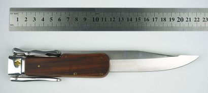 null Un couteau de chasse pliant, modèle à la d'Estaing.



Couteau BEGON

30 cm...