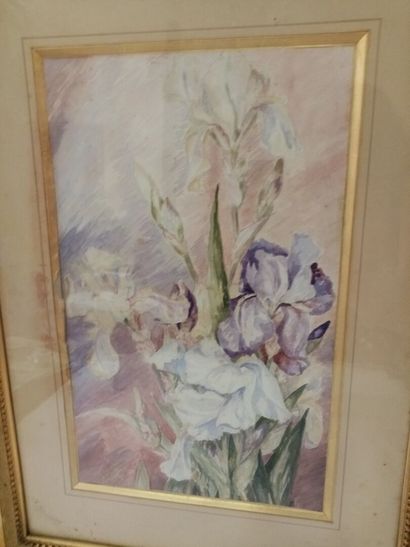null Les Iris 

Aquarelle sur papier 

41 x 26 cm (à vue)

(rousseurs légères)