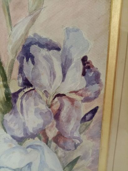 null Les Iris 

Aquarelle sur papier 

41 x 26 cm (à vue)

(rousseurs légères)