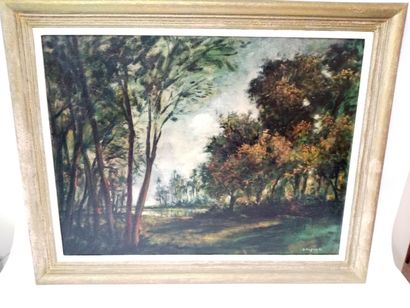 null Daniel DEJOUX (1935)

Vue de forêt 

Huile sur toile 

Signée en bas à droite...