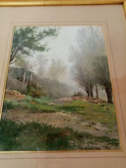 null Louis DEBRAS (1820-1899) 

Paysage arboré 

Pastel sur papier 

Signé en bas...