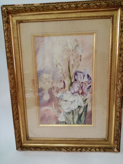 Les Iris 
Aquarelle sur papier 
41 x 26 cm...