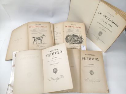 null [EQUITATION]. 5 volumes XIXe (accidents) :

PEYREMOL L. L'Amateur d'équitation....