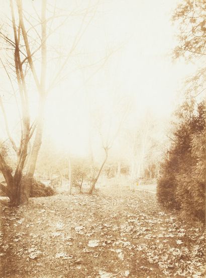 null Emile GALLE (1846-1904)

Photographie d'un paysage boisé

avec envoi manuscrit...