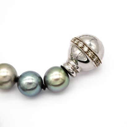 null Collier un rang de perles grises disposées en chute (couleurs différentes)....