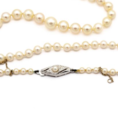 null Necklace of a row of cultured pearls arranged in fall. Diamond clasp in white...