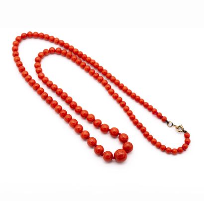 null Necklace of one row of coral beads arranged in fall, metal clasp. 

Diameter...