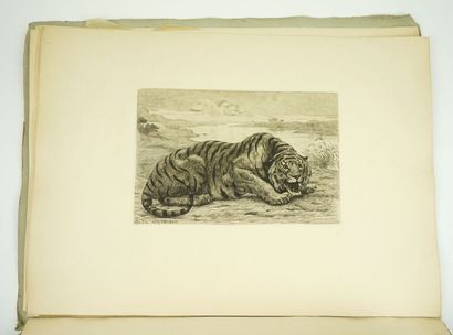 null VAN MUYDEN (Evert) : Dix Eaux Fortes animaux. 1887. S.n., s.d., s.l. 



Gravures...