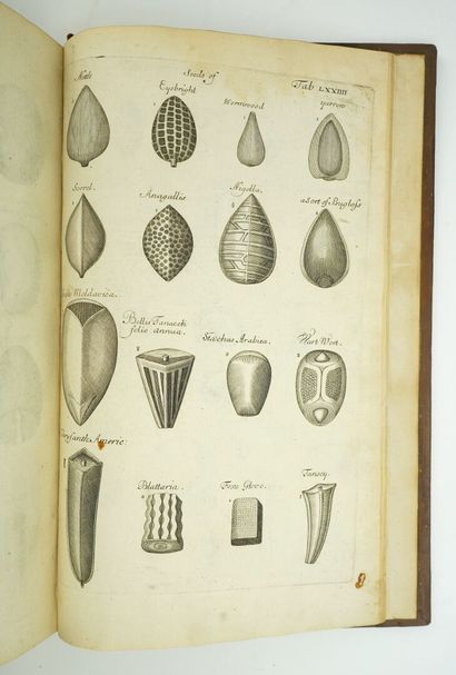 null GREW (Nehemiah) : The anatomy of plants. With an idea of a philosophical history...
