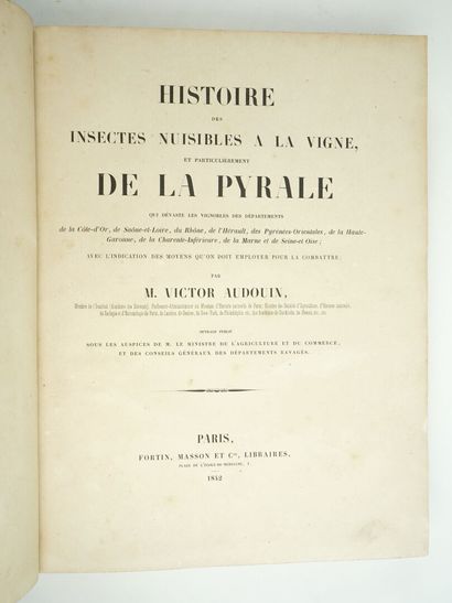 null [VIN] AUDOUIN (Victor) : Histoire des insectes nuisibles à la vigne, et particulièrement...